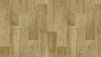 Линолеум Tarkett Discovery RIGARD 2 фото 1 | FLOORDEALER